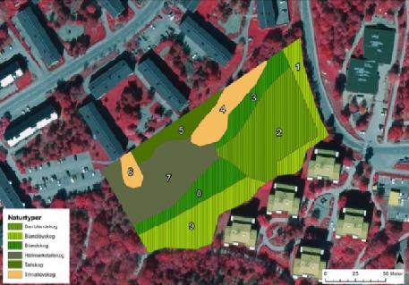 BOTKYRKA KOMMUN Samrådshandling 20 [40] Naturmiljö I samband med planläggning av fastigheten har en naturinventering och utredning av generella spridningssamband gjorts av Egologigruppen AB