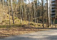 Tullinge centrum. Trottoar finns på ena sidan av Solskensvägen. Gång-och cykelvägen finns väster om planområdet som ansluts till Nyängsvägen. Vyer från bostadsområdet söder om planområdet.