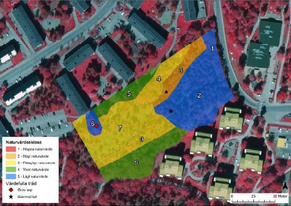BOTKYRKA KOMMUN Samrådshandling 35 [40] Resultat av naturvärdesbedömningen samt markering av position för värdefulla träd.