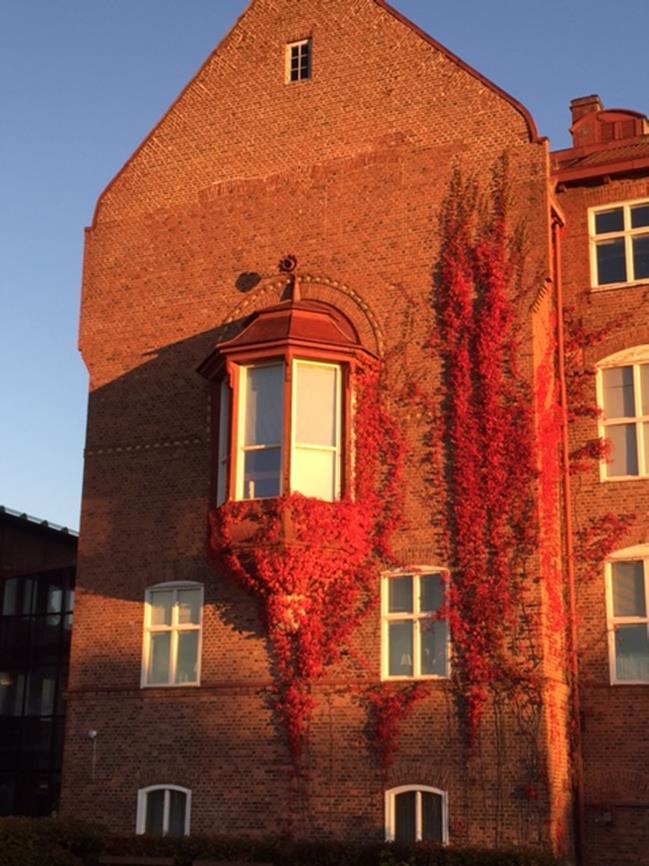 KRÄNKANDE BEHANDLING 2017/2018 FERLINSKOLAN