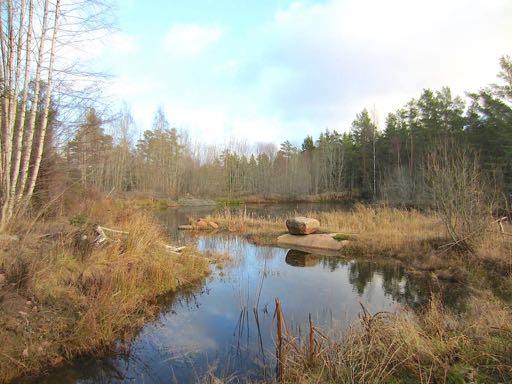 Samfällt jordområde med berättigande till båtplats vid Långsjön.