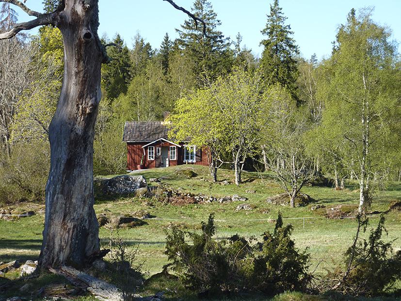 Bland kålgårdar och stickspån Det krävs kunskaper för att vårda och ta hand om kulturhistoriska värden, i trädgårdar, landskap och byggnader.