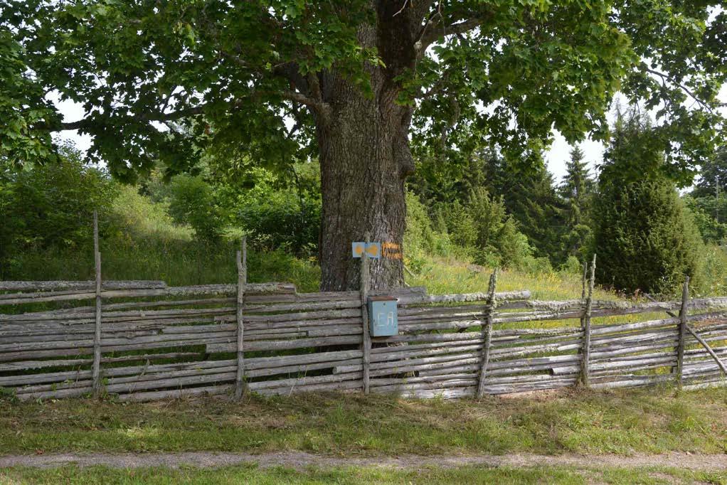 Oskarshamn Höckhult 1:50 Om Skog & Lantbruk Skog & Lantbruk är ett rådgivningsföretag som arbetar med följande tjänster inom jord och skog: - Fastighetsförmedling - Generationsskifte -