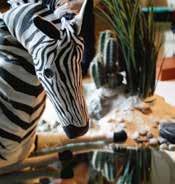 Foto: Maria Stiernborg Underbart lilla zebra Cirkus Tigerbrand En varm berättelse om livets första äventyr och upptäckter för de allra minsta.