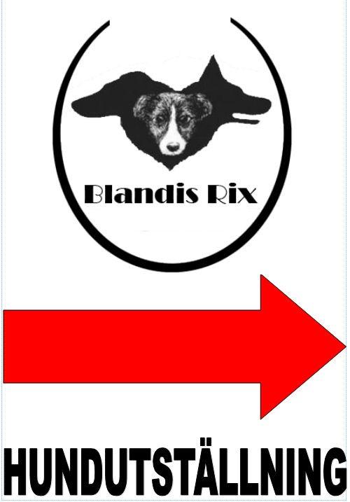 ********* V Ä G B E S K R I V N I N G ********* Södertälje Hundhall ligger