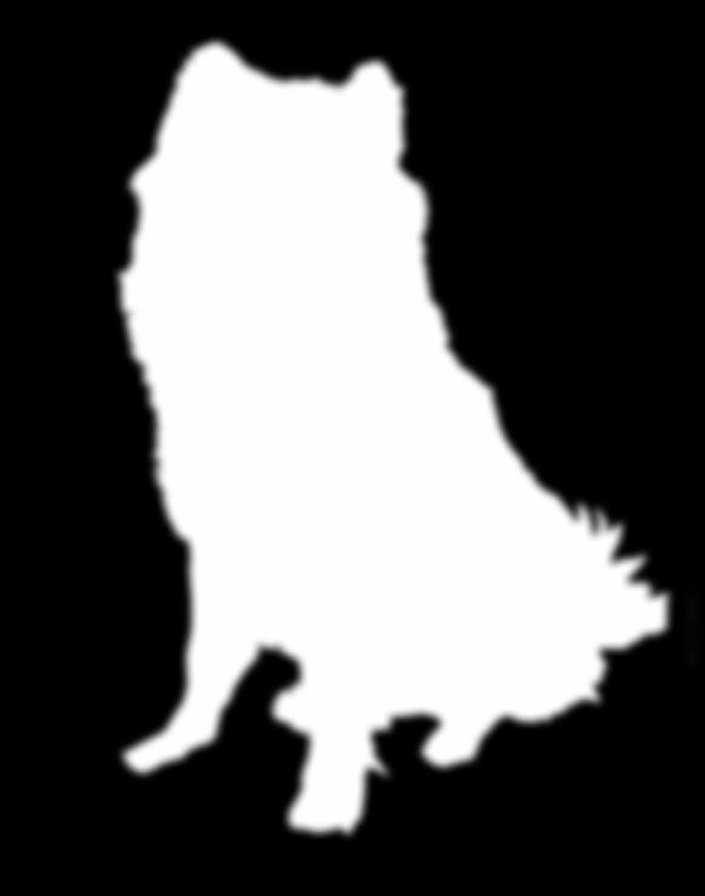 Diplom/championat: 30 poäng Klass 3 1a pris/uppflytt: 40 poäng 2a pris/godkänt: 30 poäng Diplom/championat: 50 poäng AGILITY & HOPP Start alla klasser: 3 poäng per tävlingsdag oavsett antal starter