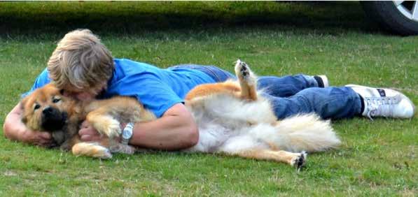 Meningen med livet för en hund Min eurasier: Tosha Vad är meningen med livet för en hund eller rättare sagt, för en eurasier?
