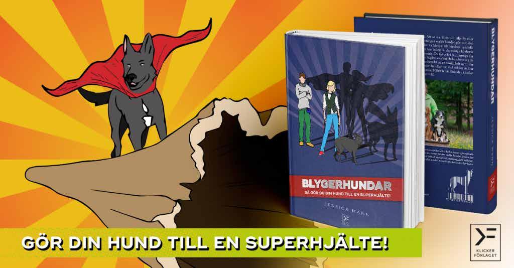 Bokrecension Gör din hund till en superhjälte Titel: Blygerhundar Så gör du din hund till en superhjälte!