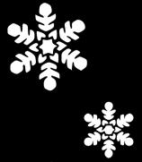 Hård skare på snön, is och fruset underlag kan slita på de annars mjuka trampdynorna.