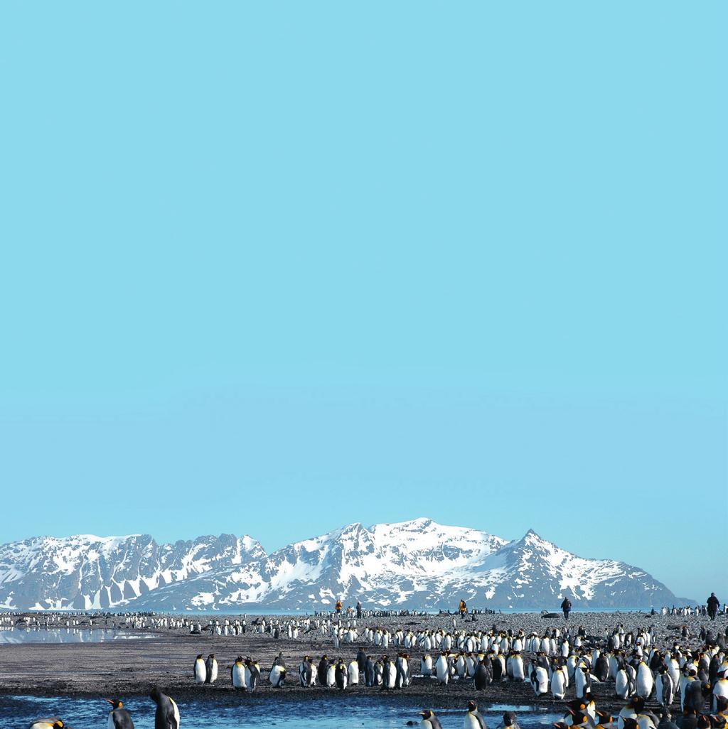 EN STORSLAGEN EXPEDITION OMBORD PÅ AKADEMIK IOFFE Resan startar med en kort flygtur från Punta Arenas i Chile till Stanley på Falklandsöarna, där expeditionsfartyget Akademik Ioffe väntar.