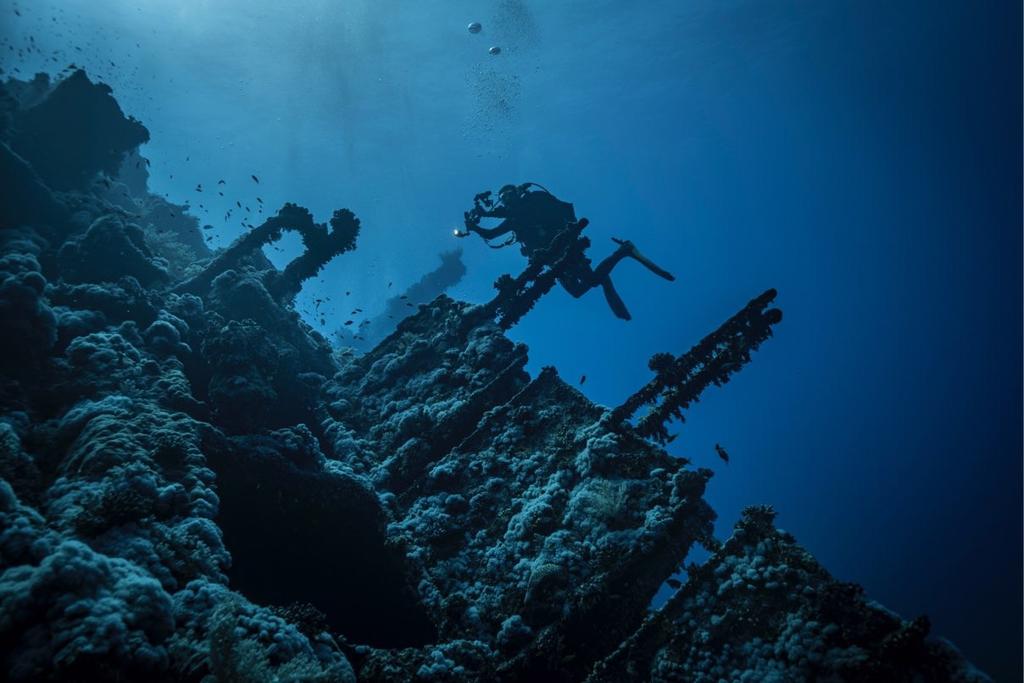 Wrecks & Reefs North - din safari Det kända hästskoformade revet, Shaab El Erg med sin vackra korallträdgård och många delfiner, är ett perfekt exempel på de rev som erbjuds under denna safari.