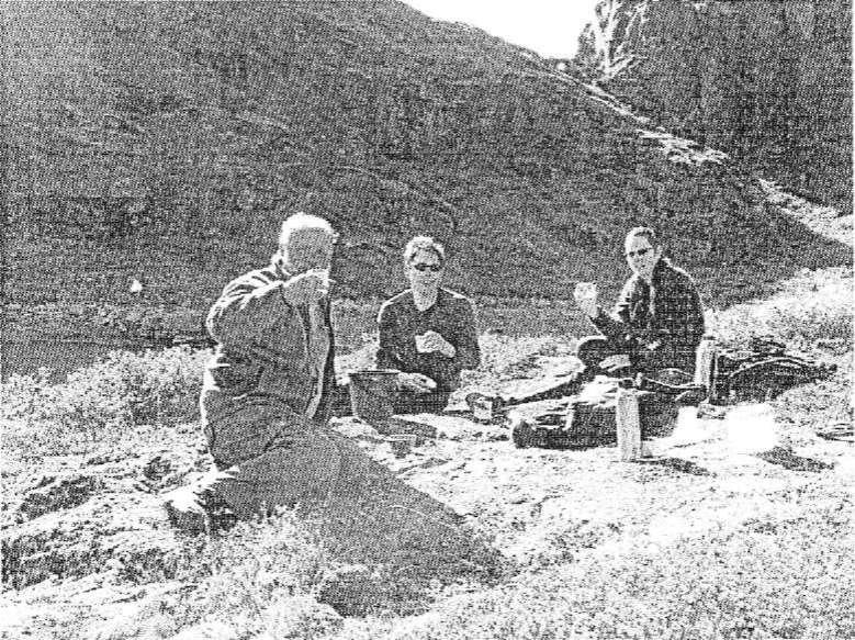 En historia om en nyckelpiga från Grönland.