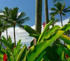 Dag 18 22 22 26 jan Nu är det dags att vinka adjö till det amerikanska fastlandet då vi sätter kurs ut i Stilla havet mot Hawaiis paradisöar.