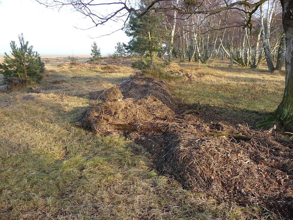 Det fick vi ta oss över, några klättrade på en stege, andra klev över på ett ställe där staketet var lite lägre.