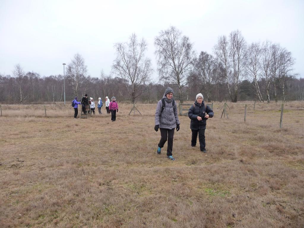 Vi fortsatte på banvallen men gick inte över stättan för fortsatt vandring på Skåneleden ner till Hölls fiskehoddor.