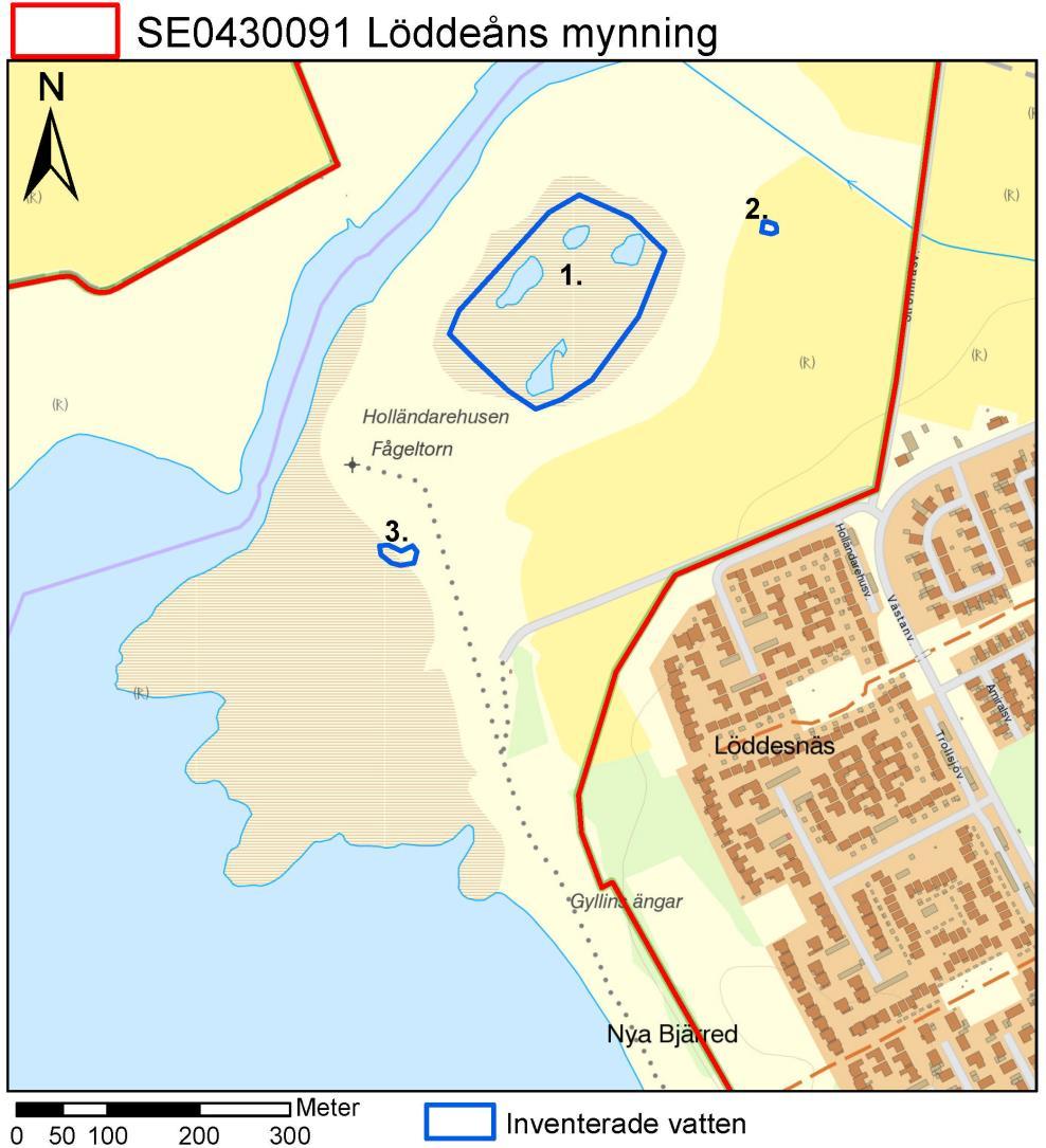 Figur 6. Löddeåns mynnings natura 2000-område med större våtmarksområde i vassbälte (1), igenvuxen och uttorkningsbenägen märgelgrav (2.) samt saltpåverkat småvatten som torkar ut på sensommaren (3.