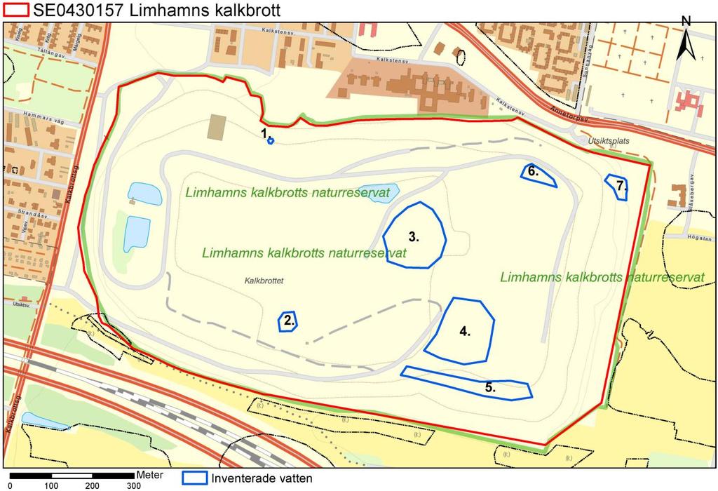 4. Limhamns kalkbrott (SE0430157) Allmänt om området Limhamns kalbrott (figur 12) är ett resultat av den industriella brytningen av kalk för tillverkning av cement från mitten av 1800-talet och fram