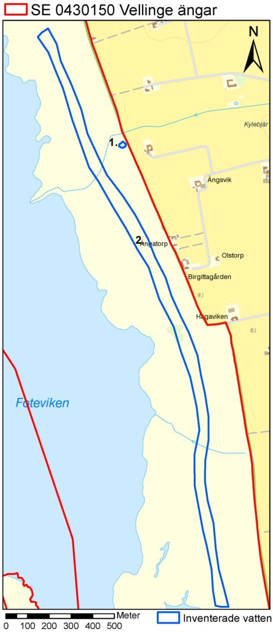 Figur 19. Karta över Vellinge ängar. Löpnummer anger ett definierat småvatten med fynd av grönfläckig padda och ätlig groda (löpnummer 1., runda vattnet) och området som strövades (2.