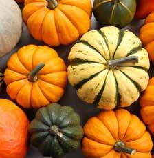 401708 PUMPA HALLOWEEN ursprung: se  76844 med