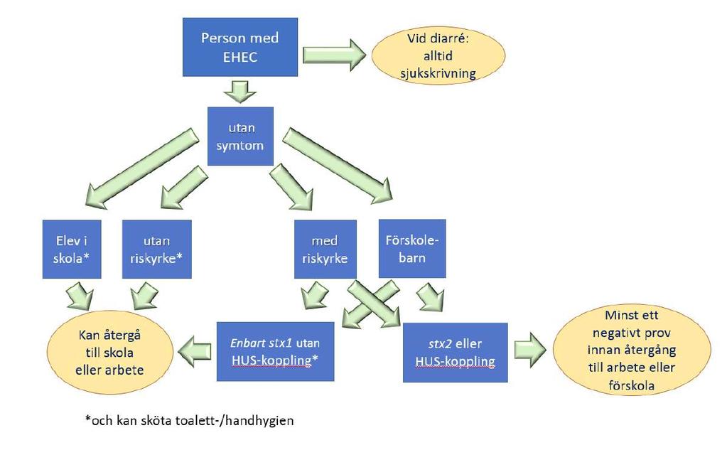 Vid vissa allmänfarliga tarmsmittor krävs negativ odling innan förskolebarn kan återgå till förskolan trots att de är symptomfria Salmonella typhi/paratyphi (en ovanlig form av salmonella) 3 negativa