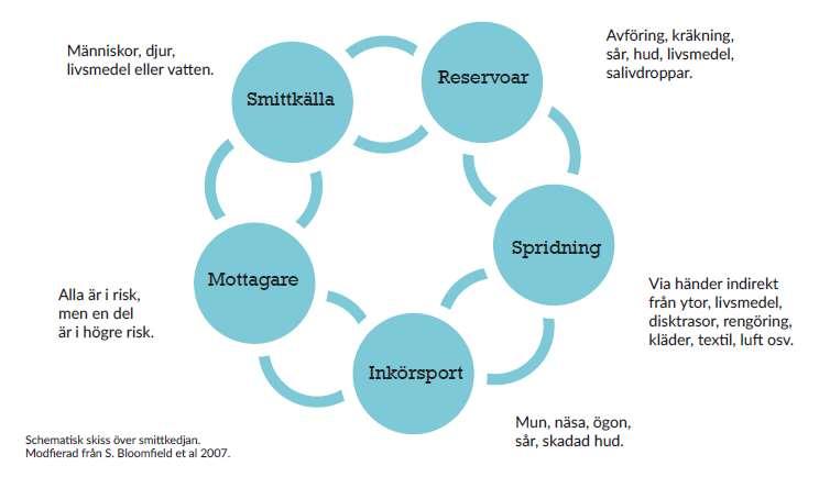 Smittkedjan Smittspridning innebär en överföring av smittämne Det handlar om att bryta smittvägar!