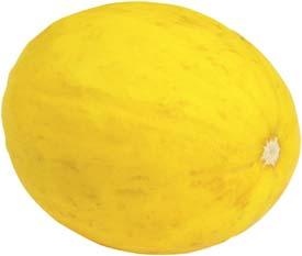 Ca 500-1500 g.