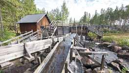 Museets byggnader har flyttats till platsen allt eftersom och här finns omfattande sam lingar av både arbetsredskap och hus geråd från skogshuggarepoken.