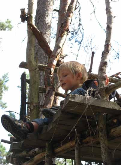 det finns forskningsresultat som visar på samband mellan naturkontakt och fysiskt och psykiskt välbefinnande.