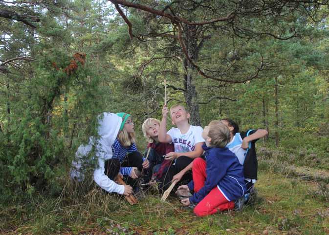 Bakgrund Projekt Skogen som klassrum startar Naturskyddsföreningen ansökte 2008 om medel från Naturvårdsverket via dåvarande Friluftsrådet för att starta projektet Bevara barnens skogar.