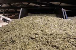 Ensilage Gräs Tidig majs Sen majs Torrsubstans, % 30 27 38 Råprotein, g/kg ts 145 90 89
