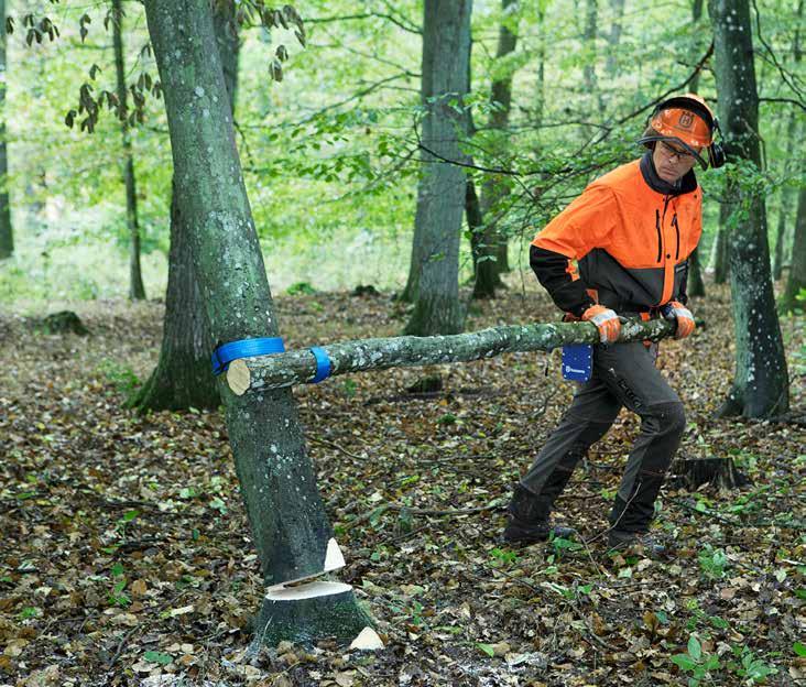 FASTFÄLLNING 4.1 Rulla trädet. Svagt lutande fastfällningar är oftast lätta att rulla ner. Använd vändhake eller vändband om du bedömer att trädet inte sitter så hårt.