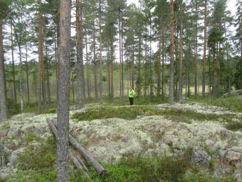 Bild 3. Fältbesiktning vid Lappkojberget, Torsåker. Foto: Bo Ulfhielm.