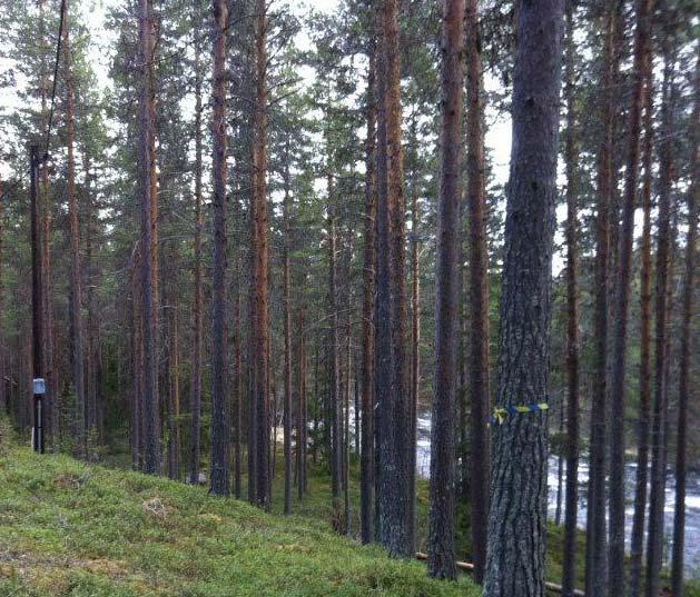 1600-talet. Här finns också blästerugnar samt slagg från lågteknisk järnframställning. LIS-områden är belägna någon km norr om Hede efter vattendraget Lunån.