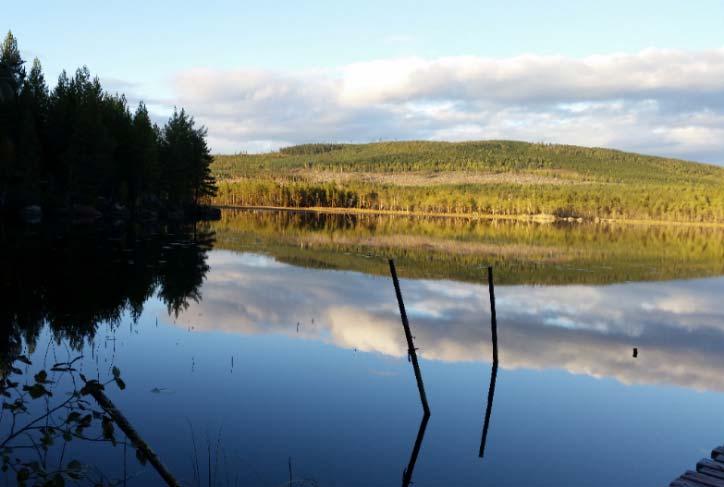 11. Ytterhogdal- Överhogdal - Ängersjö - Älvros Ytterhogdal är en tätort i Härjedalens kommun och kyrkbyn i Ytterhogdals socken i Hälsingland. Orten ligger vid ån Hoan. Här bor ca 620 invånare (2015).