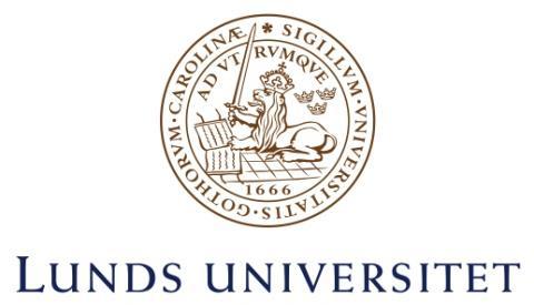 Ekonomihögskolan Företagsekonomiska Institutionen FEKN90 Företagsekonomi - Examensarbete på Civilekonomprogrammet VT 2013 Så slår vi marknadsindex En