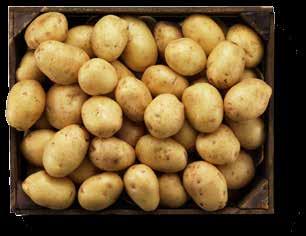 2-PACK Spanien. Klass 1. 200 g.