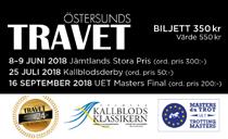 morgondagen. Grunden för travets tillväxt är trots allt spelets utveckling och glädjande är att ATG redovisade ett omsättningsrekord för 0 och en vinst på miljoner kronor.