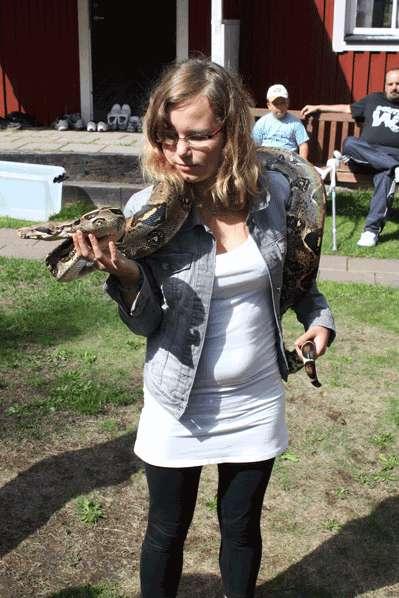 Smultronstället.