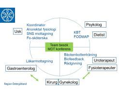 Blåsdysfunktion Prostatit Interstitial cystits Urinläckage Tarmfunktionsrubbningar IBS Förstoppning Avföringsläckage Prolaps Rectocele Tömningssvårigheter Sexuella