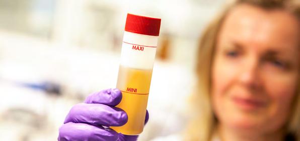 Tidigare körde vi 3.000 timmar mellan oljebyten. Efter ikaros analys kör vi idag över 30.000. Oljeanalys Vår laboratorieanalys är som ett blodprov, där inte bara själva oljans effektivitet kan övervakas, utan även hur en maskin mår i övrigt.