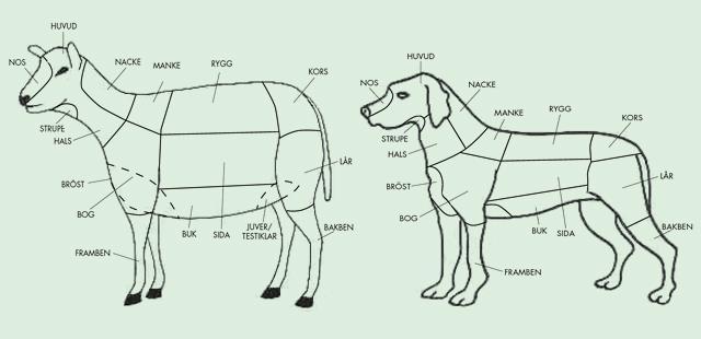 avses i skaderapporten. Så här ser en schematisk skiss ut av får och hund. För större djur gäller samma schema som för får (till vänster).