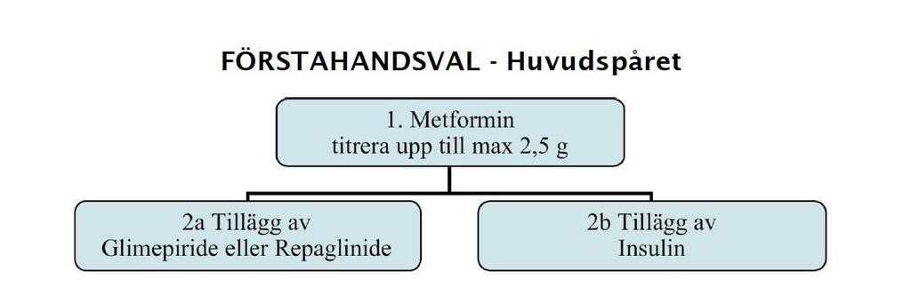 1997-2016 Tredje Linjen GLP-1