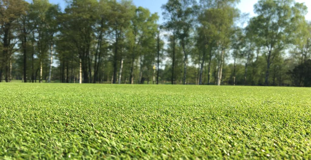 VETERANKOMMITTÉN DAMER Nytt för i år är att vi har flytande klassindelning när vi spelar slaggolf för att få en jämn indelning av antalet spelare i de båda klasserna.