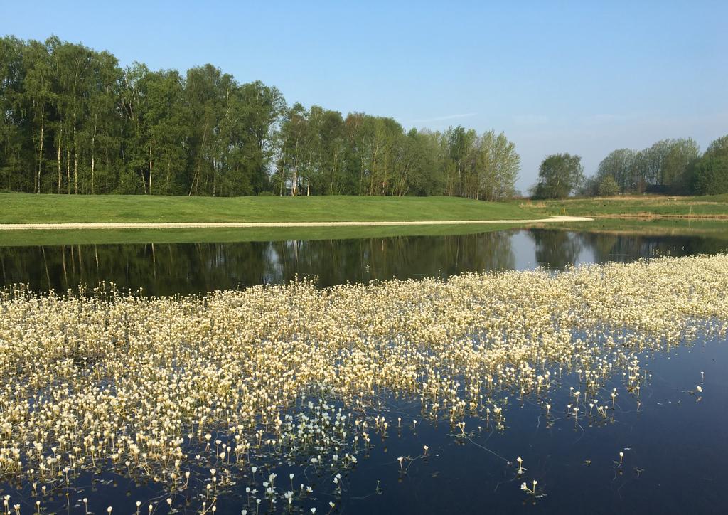 TÄVLINGSINFORMATION Golfresan On Tour spelas på Västra banan den 22 juli. Sveriges stora tävlingsturné för amatörgolfare. Arrangeras av golfresan.se.