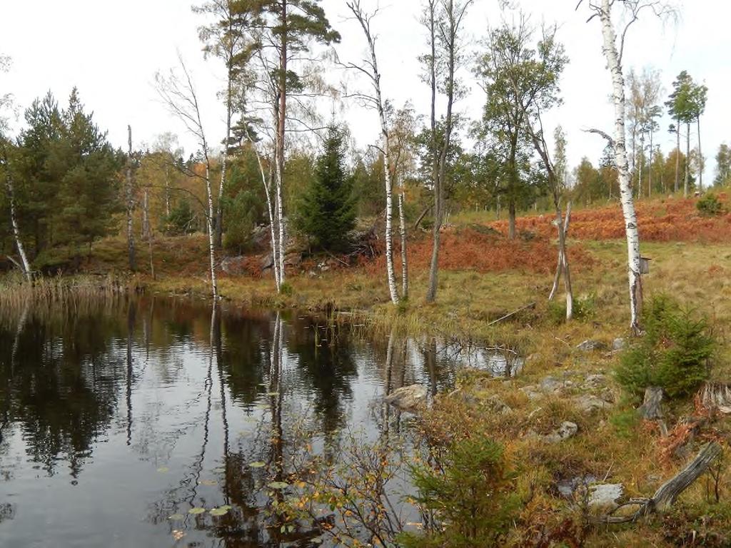strandskydd. Exempelvis saknar Alebäcken och Lerån strandskydd. Områden med detaljplaner, mer omfattande bebyggelse, vägar mm omfattas inte av strandskydd.