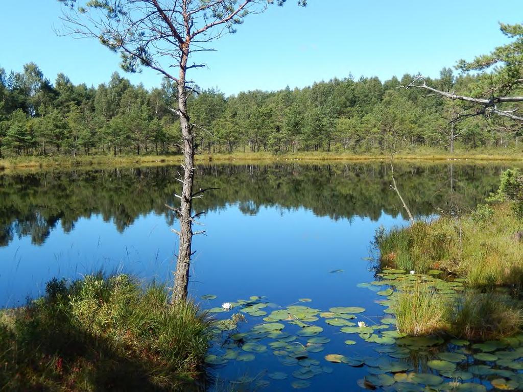 Den fysiska riksplaneringen medförde även att länen sammanställde inventeringar och program för naturvård.