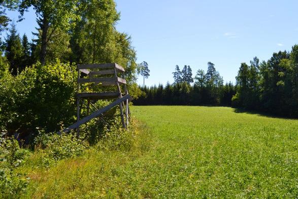 NATUR- OCH KULTURVÄRDEN: Det finns inga registrerade nyckelbiotoper enligt Skogsstyrelsens inventering (SeSverige internet).