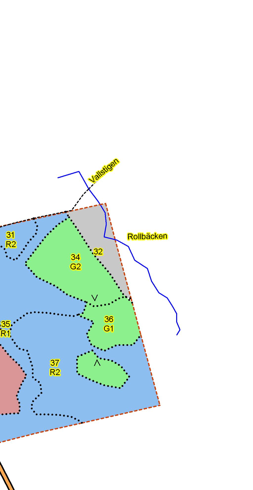 Röjningsskog Gallringsskog