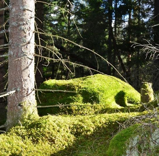 SERVITUT/ NYTTJANDERÄTTER: D e t f i n n s e t t i n s k r i ve t l a s t a n d e a vt a l s s e r vitu t a vseende k r a f t l e d n i n g. S e b i f o g a t f a s t i gh e t s u t d r a g.