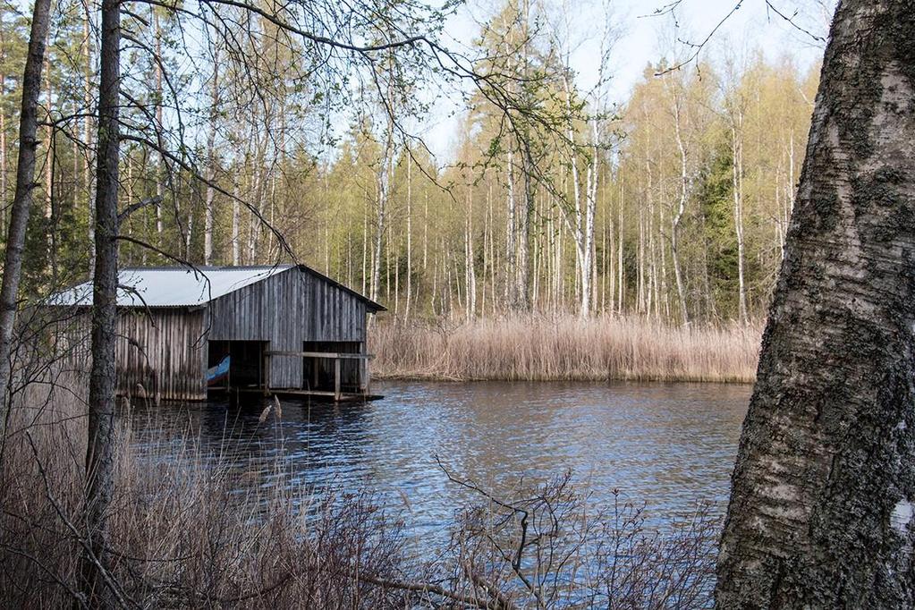 Enligt skogsbruksplanen är tillväxten ca 970 m³sk. Bonitet 5,9 m³sk per ha. Södra skiftet gränsar mot Morån.